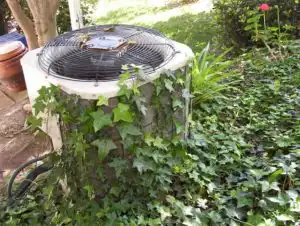 Residential HVAC compressor blocked and obstructed by vines and vegetation.